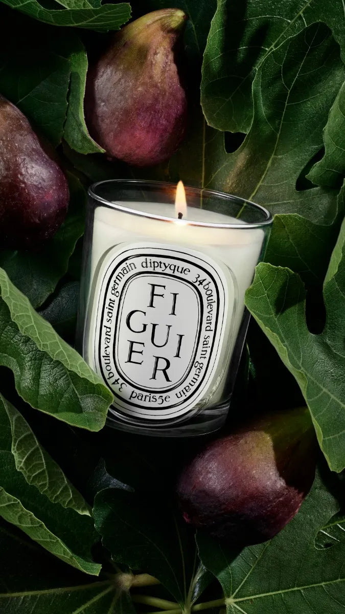 Figuier (Fig Tree) - Refill for classic candles