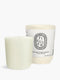 Figuier (Fig Tree) - Refill for classic candles