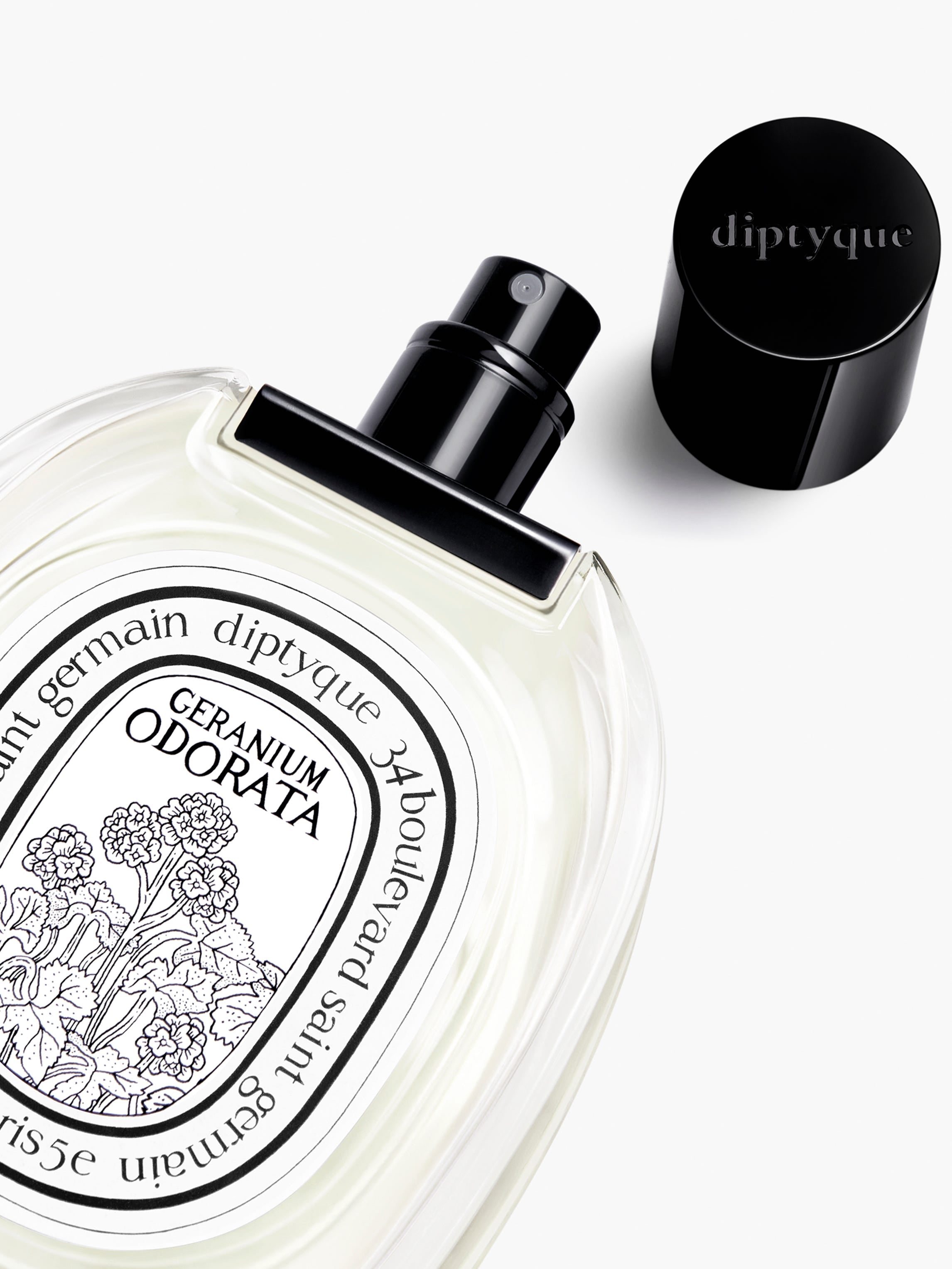 【diptyque】GERANIUM ODORATA 100ml Geranium Odorata - Eau de toilette – Diptyque