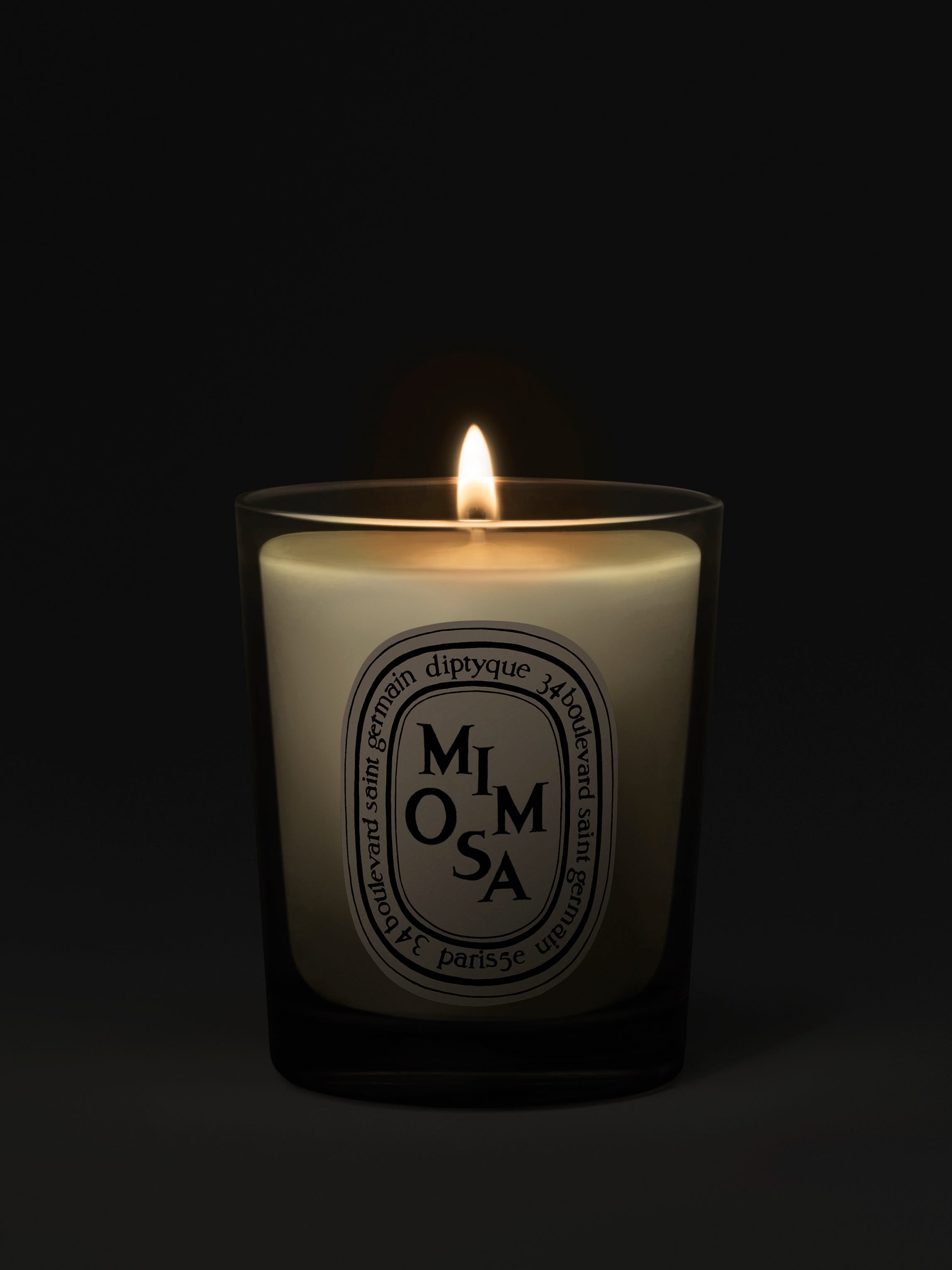 Mimosa - Small Candle – Diptyque