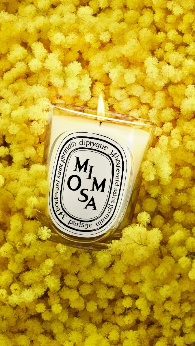 Mimosa - Refill for classic candles