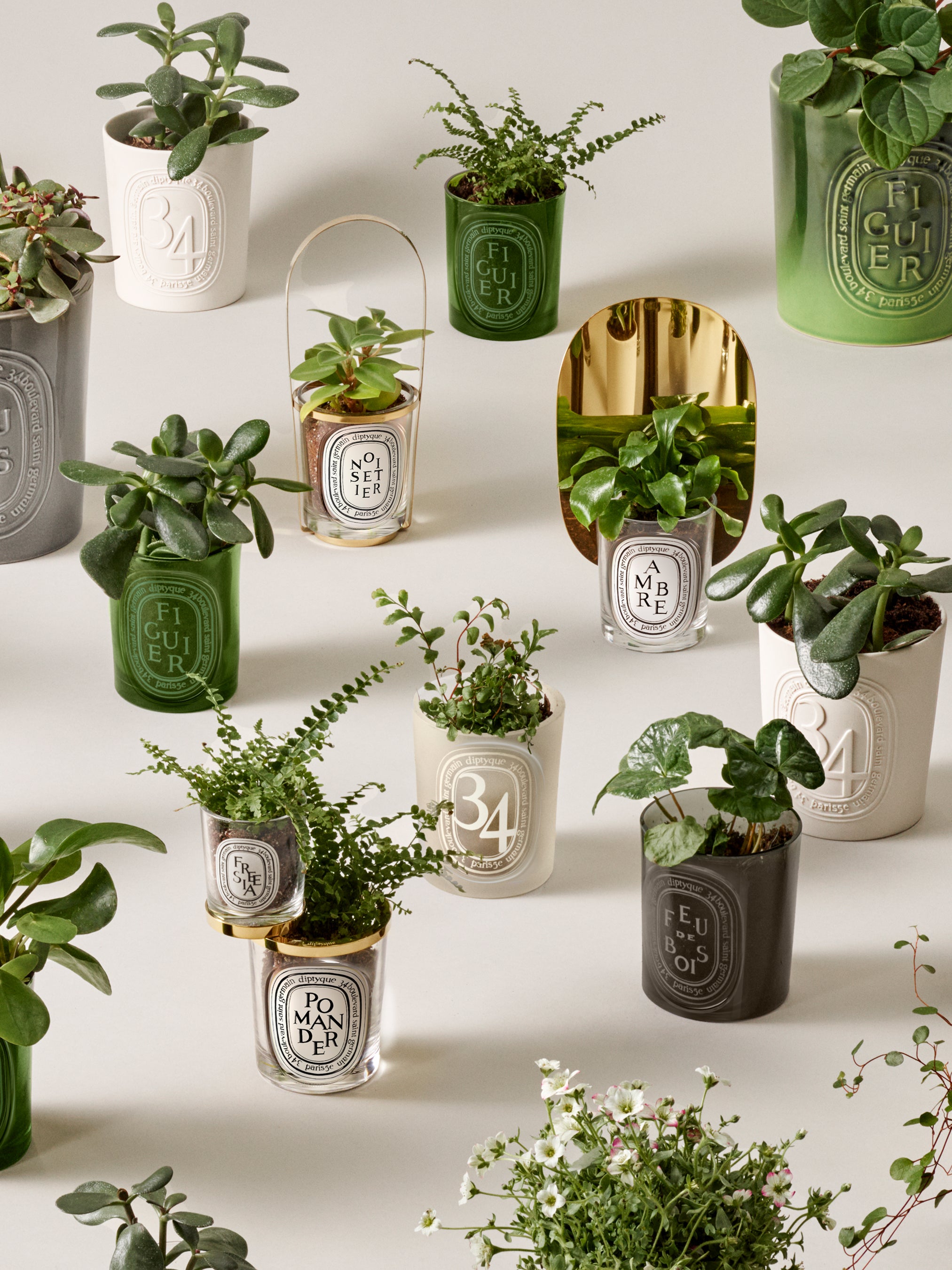 Mirror Oval - for classic candles – Diptyque