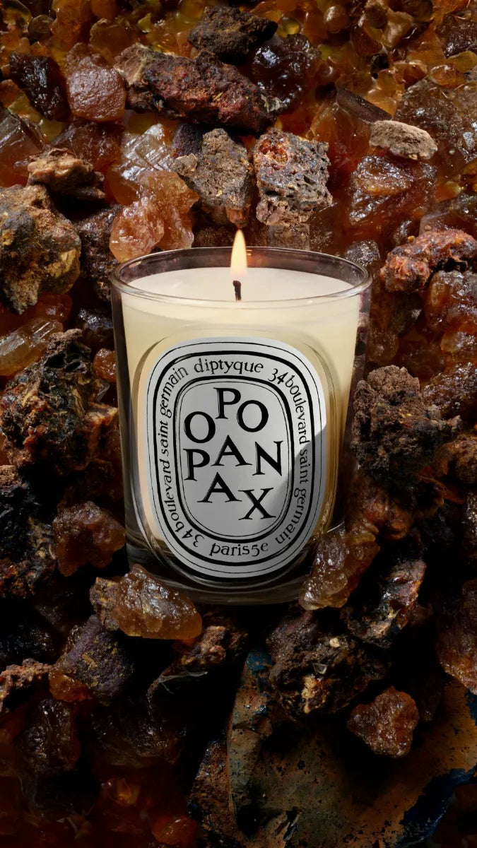 Opopanax - Classic Candle | Diptyque Paris Opopanax - Classic Candle | Diptyque Paris