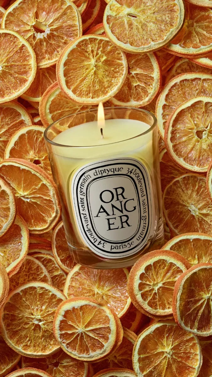 Oranger (Orange Tree) - Classic Candle | Diptyque Paris Oranger (Orange Tree) - Classic Candle | Diptyque Paris