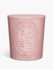 Roses - Large Candle