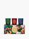 Sapin (Pine Tree), Friandise (Sweet Treat), Étoile (Star) - Set of 3 small holiday candles