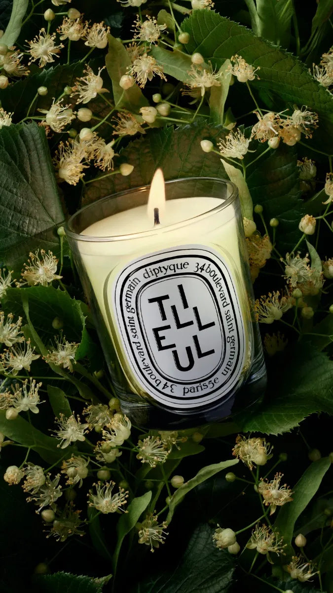 値下げしましたdiptyque エミュール ヴェルール 350mL Tilleul (Linden Tree) - Classic Candle – Diptyque