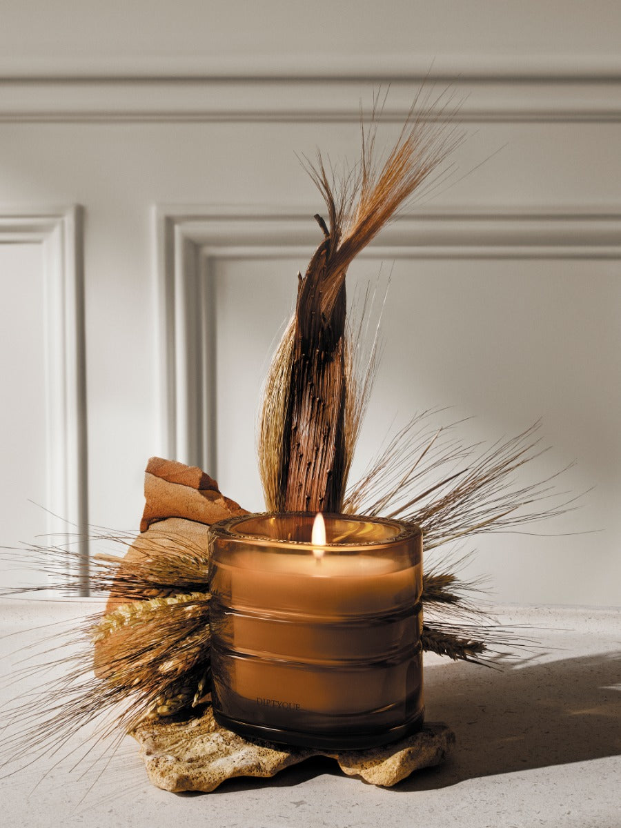 Terres Blondes (Golden Lands) - Signature Candle – Diptyque
