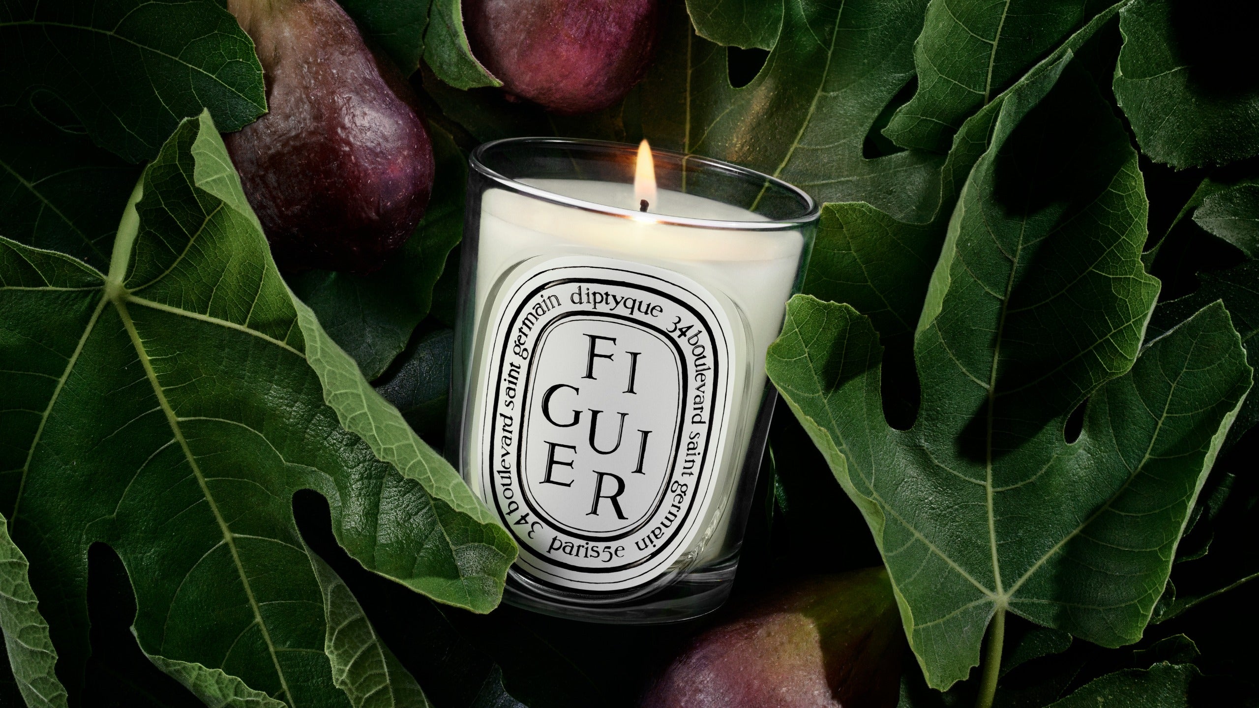 Figuier (Fig Tree) – Diptyque