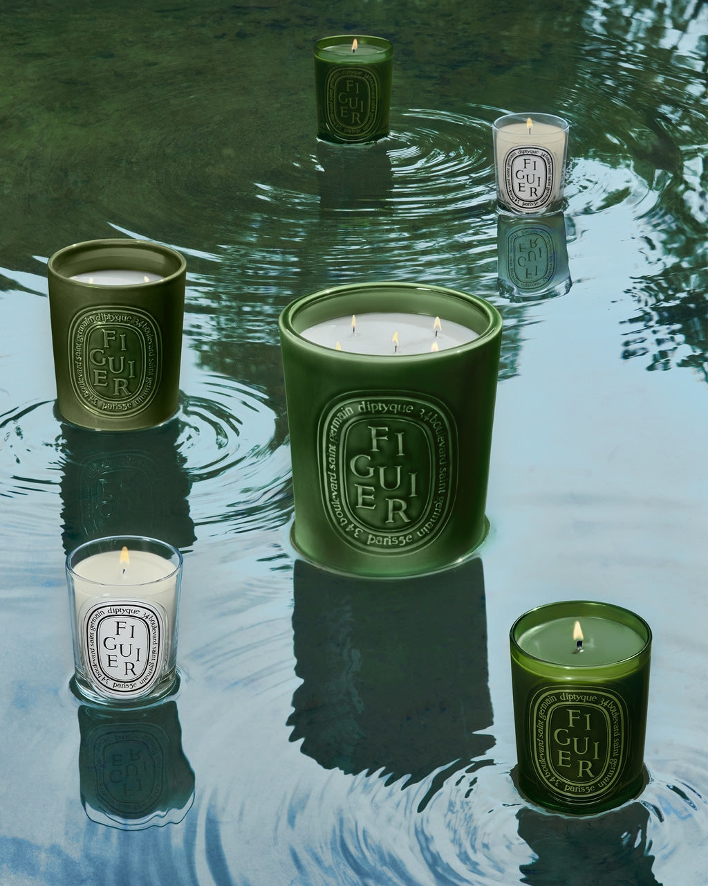 Figuier (Fig Tree) - Large Candle – Diptyque