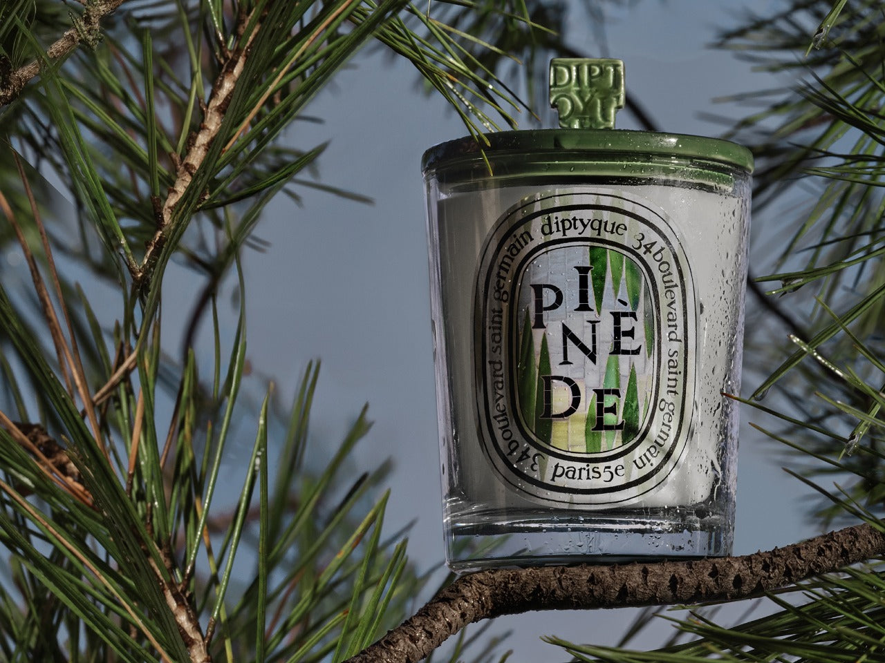 Ambre (Amber) - Large Candle – Diptyque