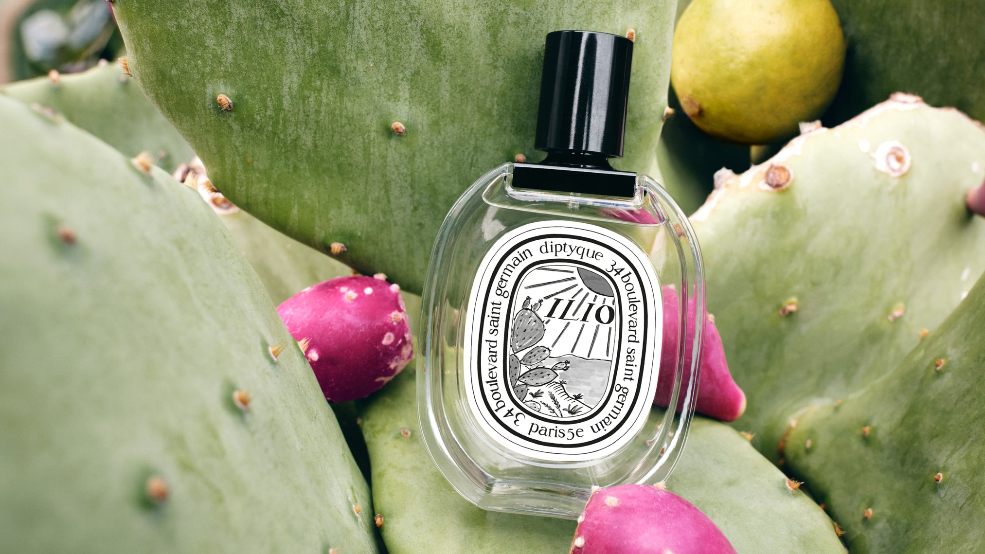 Eau Duelle - Eau de toilette – Diptyque