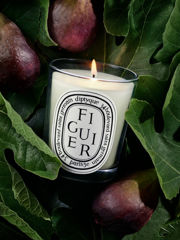 Figuier (Fig Tree) - Small Candle