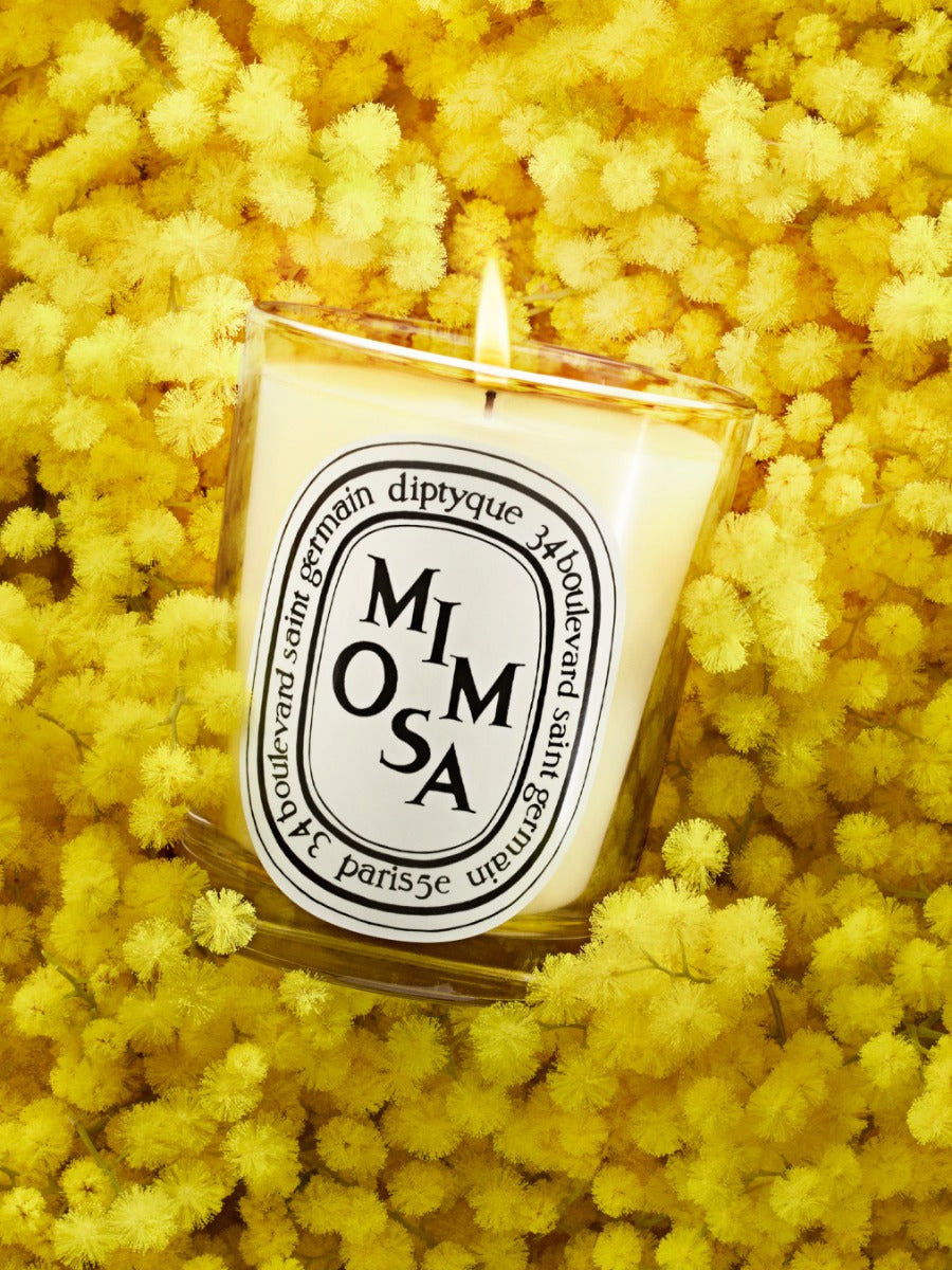 新品未使用　diptyque ディプティック　ミモザ　 キャンドル 190g Mimosa - Small Candle – Diptyque