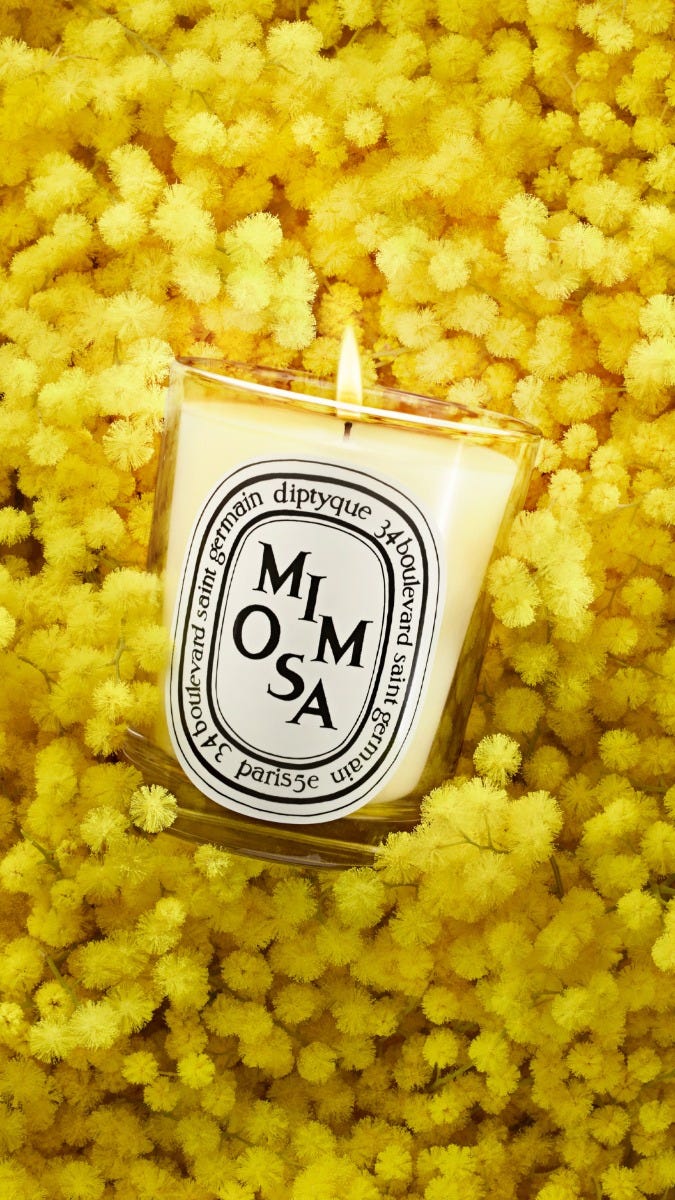 新品未開封‼️Diptyque Mimosa キャンドル　190g Mimosa - Small Candle – Diptyque