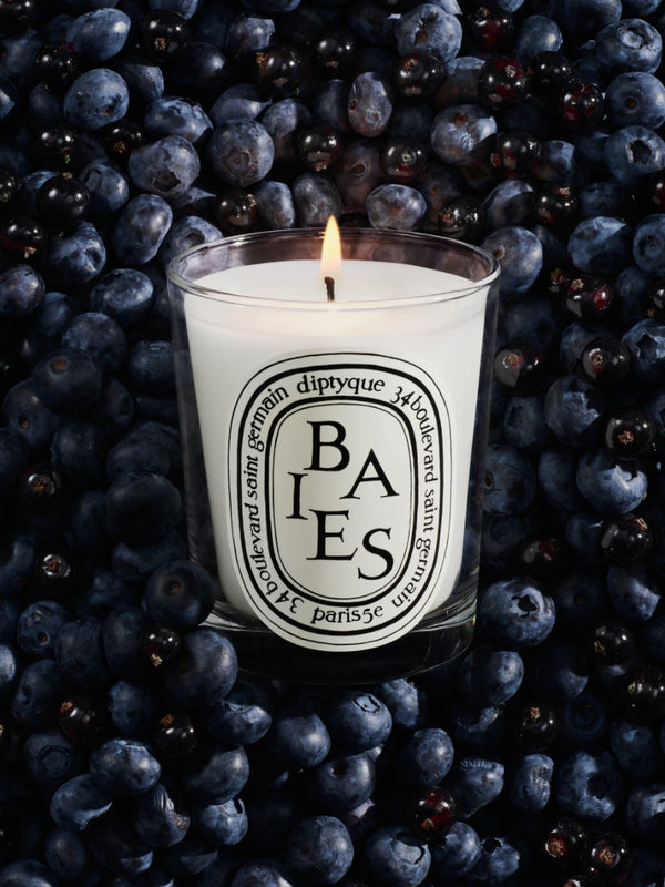 Baies (Berries) - Small Candle - Gift