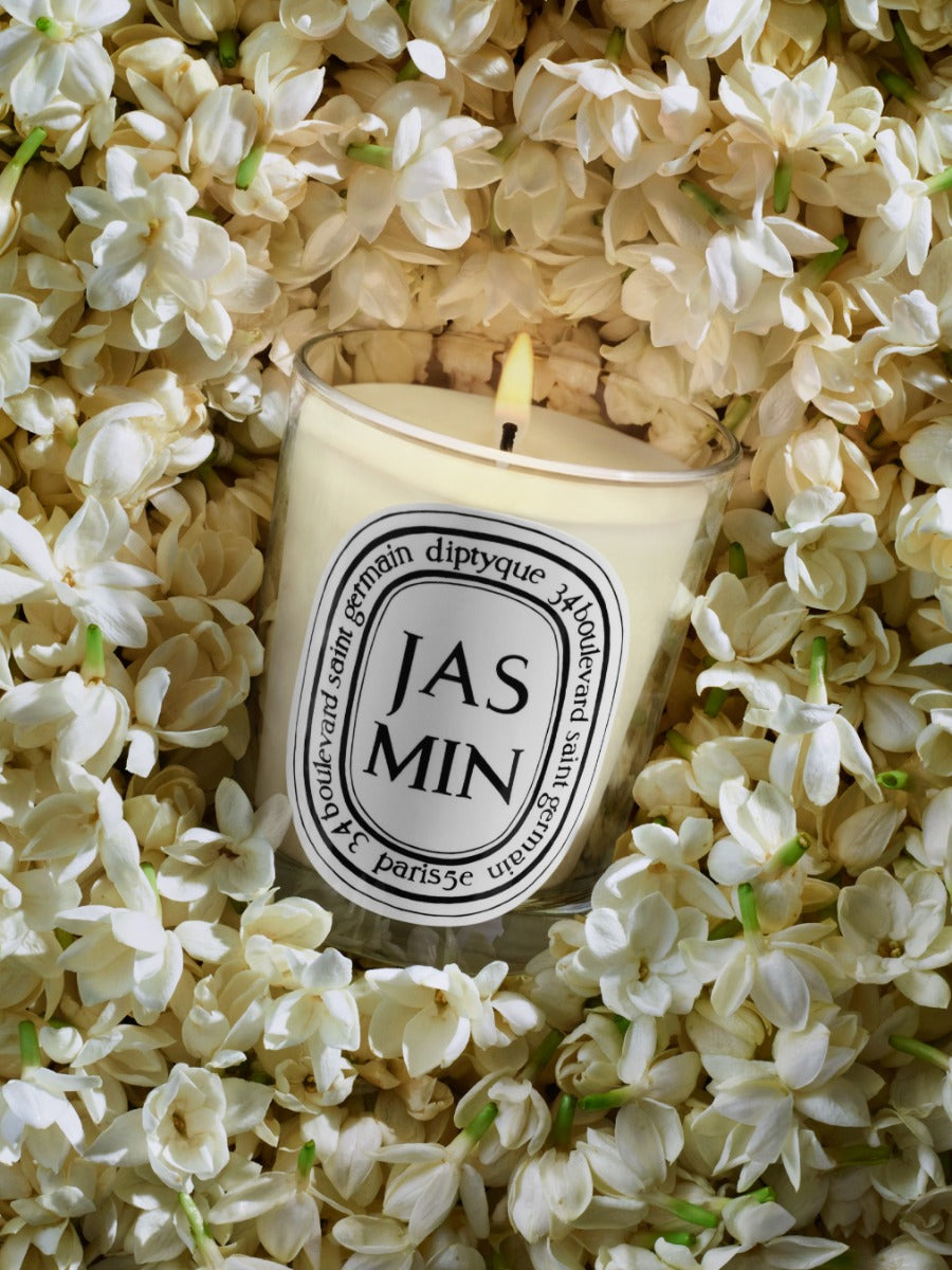 Jasmin (Jasmine) - Small Candle – Diptyque