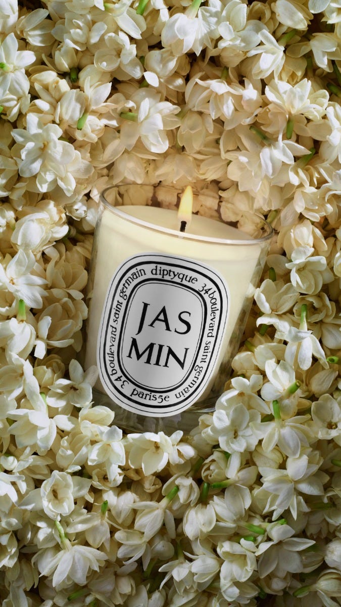Jasmin (Jasmine) - Small Candle – Diptyque